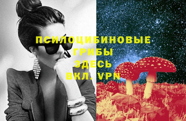 тгк Алексин